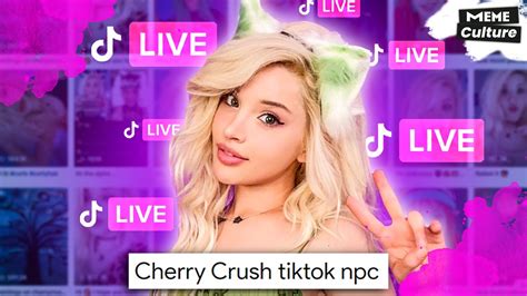 cherry crush tik tok|cherry cru tiktok.